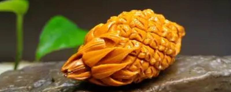 橄欖核雕怎么保養(yǎng)