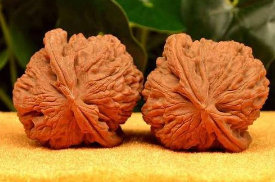 開的青皮核桃陰干需要多久