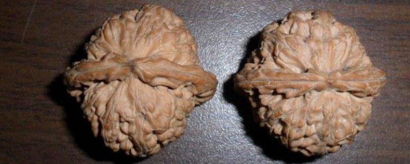 文玩核桃發(fā)白怎么清洗