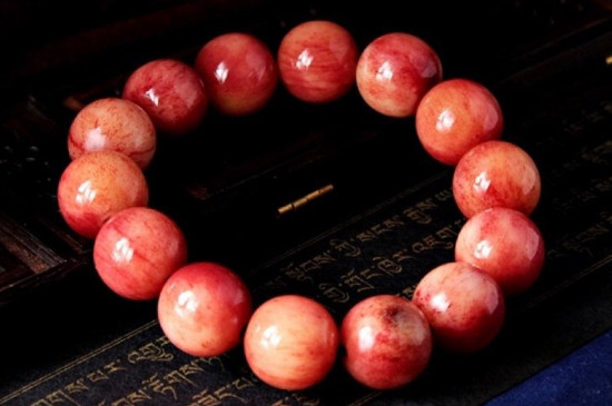 駱駝骨鑒別方法