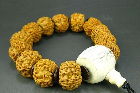 姜黃皮金剛多久能盤(pán)紅