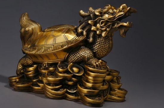 6種人千萬不能帶個龍龜