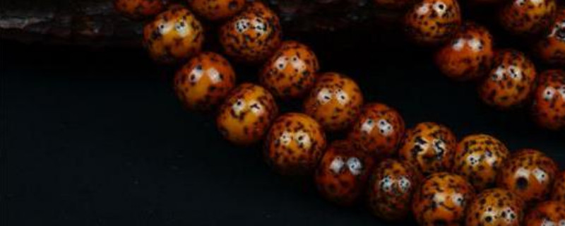 星月菩提怎么盤玩