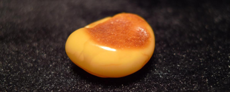 海漂籽料和蜜蠟有什么區(qū)別