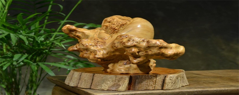 崖柏怎么保養(yǎng)