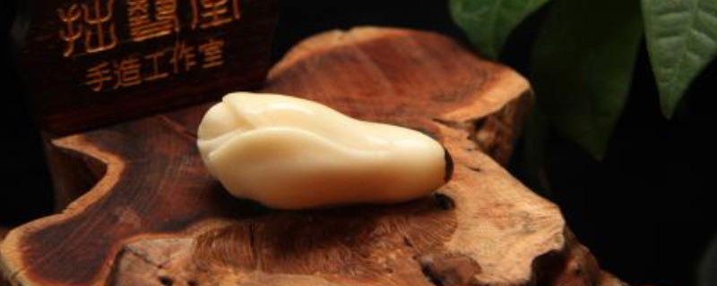 象牙果怎么看真假辨別