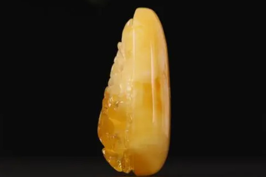 蜜蠟妖花是什么意思