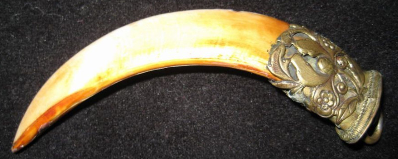 老虎牙怎么保養(yǎng)及盤玩