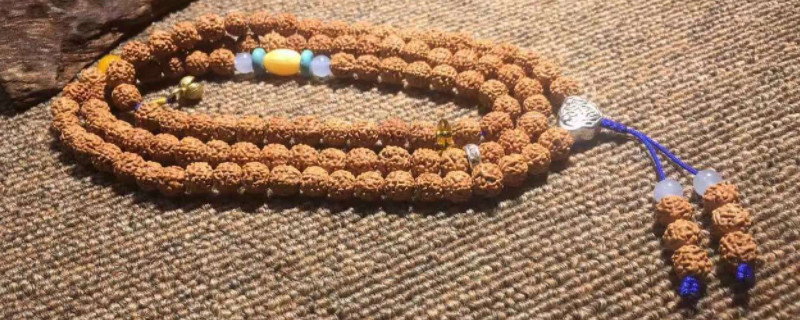 姜黃皮金剛多久能盤紅