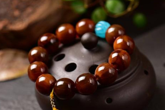 滿血山龜甲手串的好處