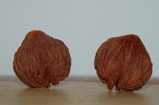 文玩核桃陰干長(zhǎng)毛了怎么辦