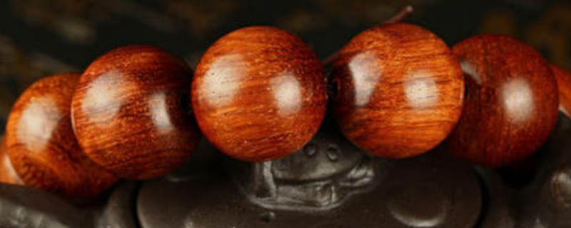 大果紫檀和刺猬紫檀的區(qū)別