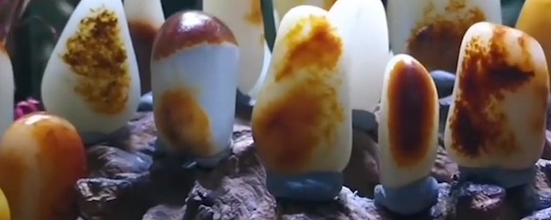 如何辨別黃玉真假