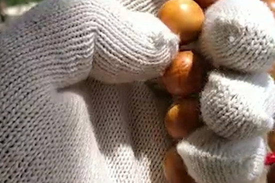 崖柏手串怎么盤