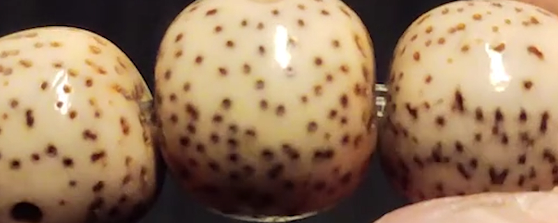 女性佩戴星月菩提功效與作用