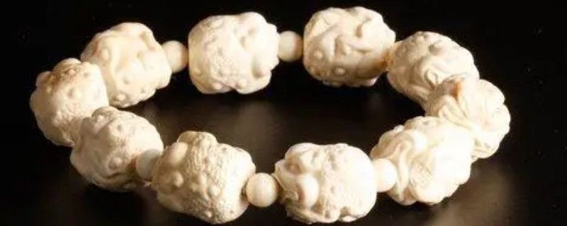 猛犸牙怎么鑒別