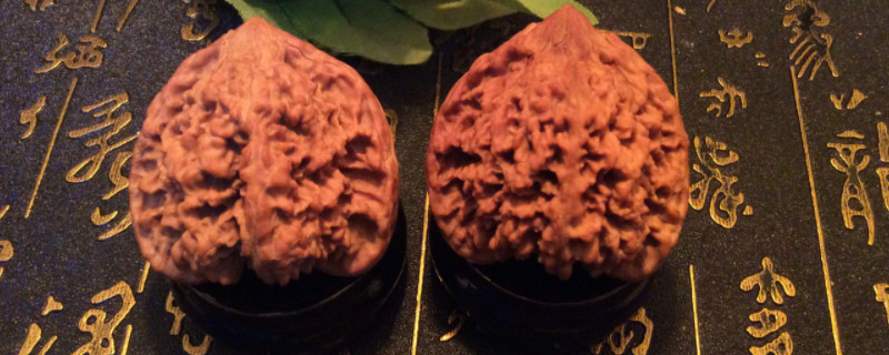 文玩核桃下面肚臍能摳掉嗎