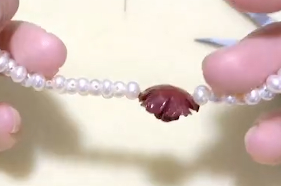 貝珠和珍珠的區(qū)別