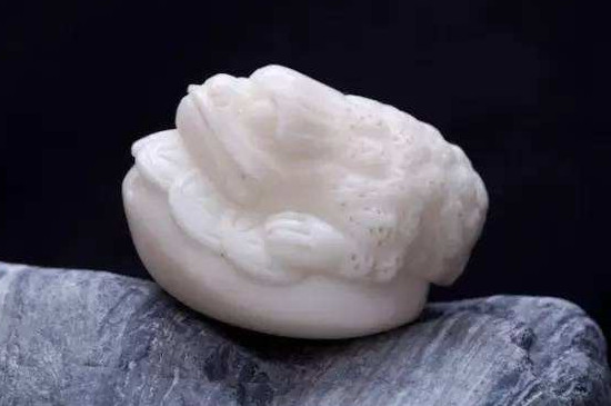 象牙果怎么看真假辨別