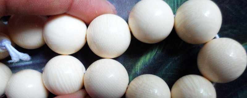 燈光怎么鑒定象牙真假