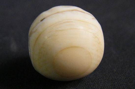 象牙戴左手還是右手