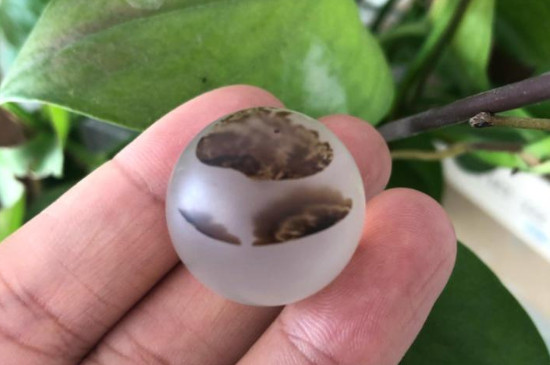 海洋玉髓是什么東西