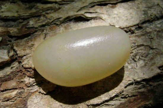 新疆金絲玉是什么玉值錢嗎