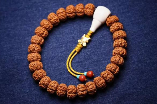 金剛菩提怎么看品相