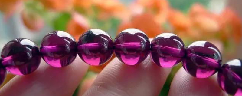 紫牙烏什么人不能帶