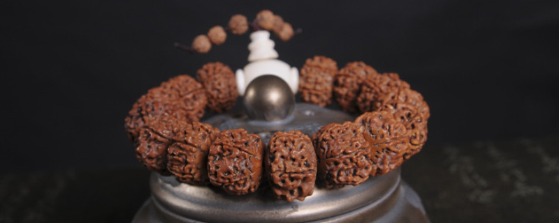 金剛盤花了怎么處理