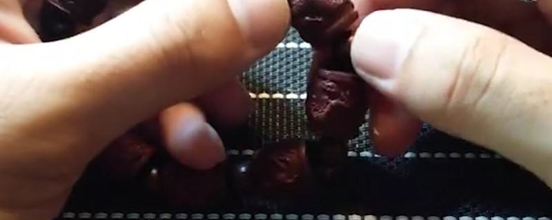 金剛菩提的正確盤玩法