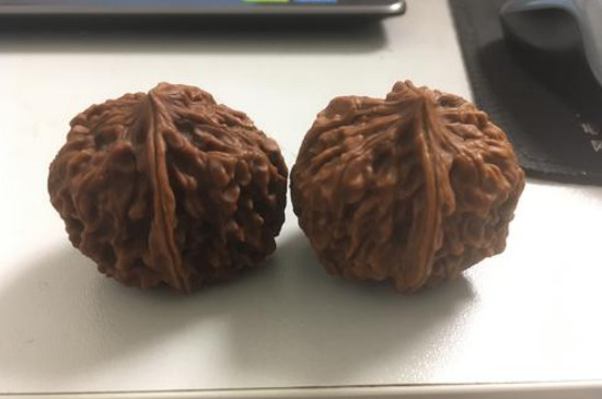 新手盤核桃注意事項