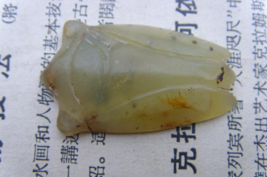 岫巖玉和岫玉的區(qū)別和特點