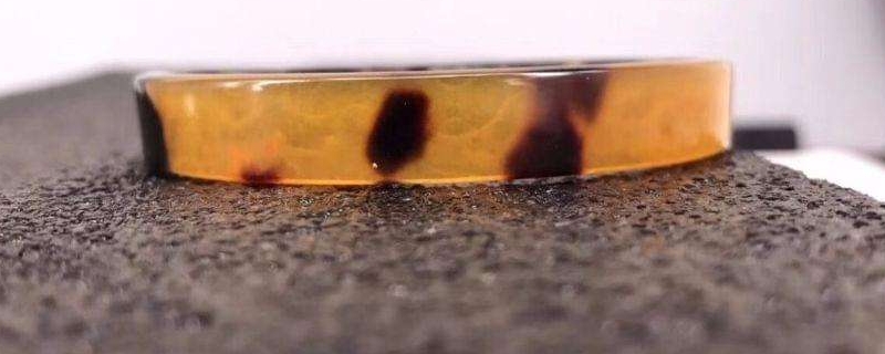 怎樣鑒別玳瑁是不是天然的