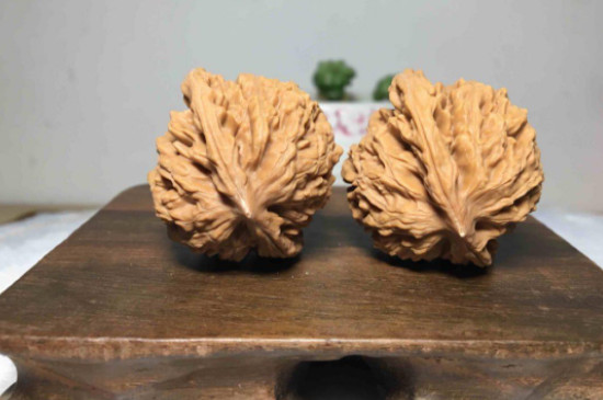 怎么判斷核桃是否陰干