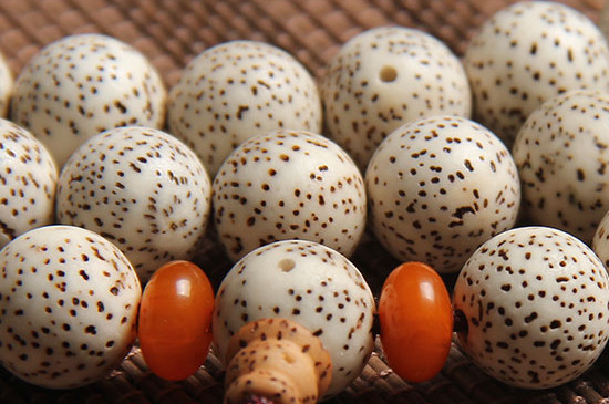 血絲菩提和星月菩提有什么區(qū)別