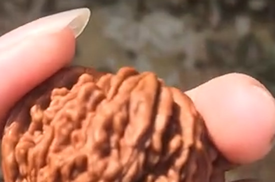 文玩核桃怎么包漿