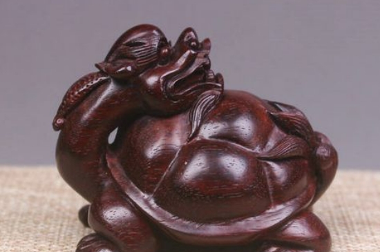 龍龜家里最多放幾個(gè)