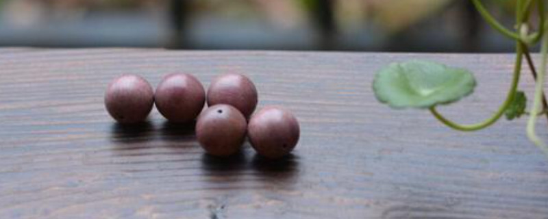 紫蘇木是什么木頭