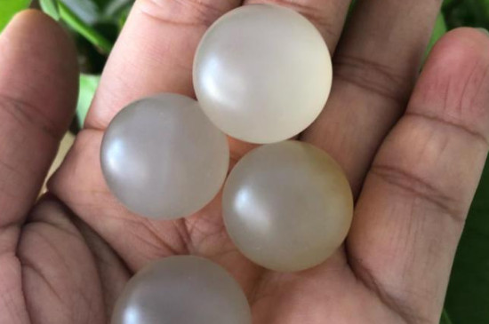 玉髓瑪瑙翡翠玉有什么區(qū)別