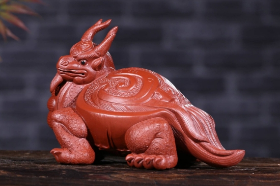 6種人千萬不能帶個龍龜