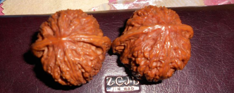 新手盤核桃注意事項(xiàng)