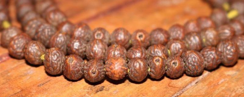 酸棗核與鳳眼菩提的區(qū)別