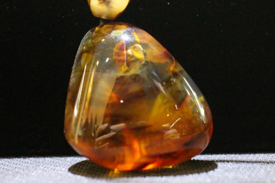 琥珀是什么東西