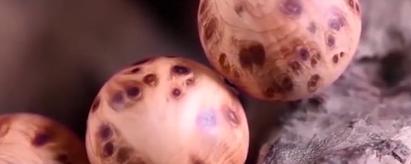 文玩崖柏手串怎么盤