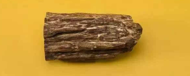 蟲漏沉香真假區(qū)分