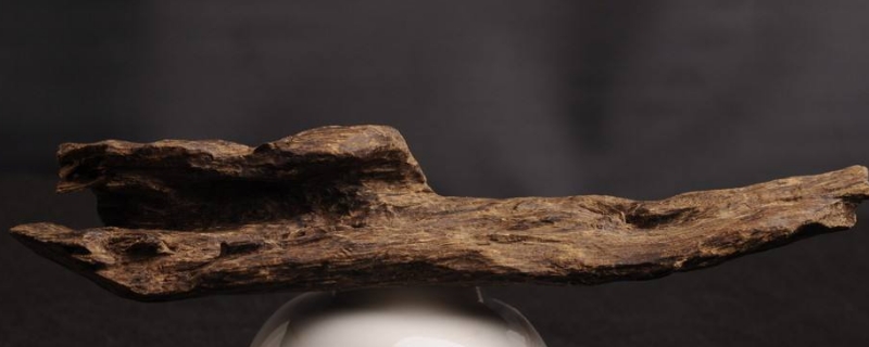 沉香沉水跟不沉水區(qū)別