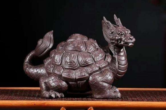 6種人千萬不能帶個龍龜