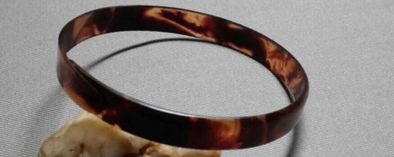 玳瑁最簡單辨別真假方法