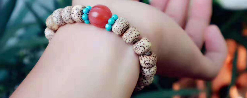 星月脫脂和未脫脂區(qū)別